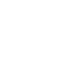 256x256