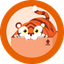 64x64