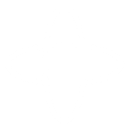 256x256